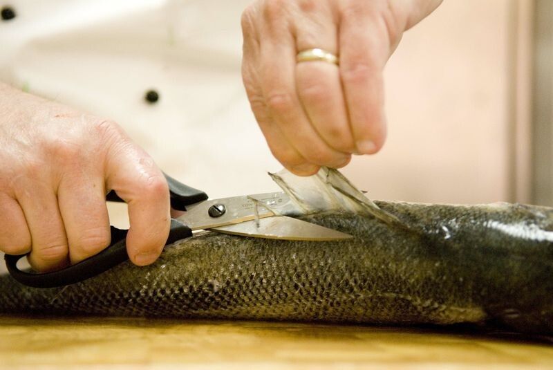 ��������� ����������� ����: ������ ��� ������� ��������