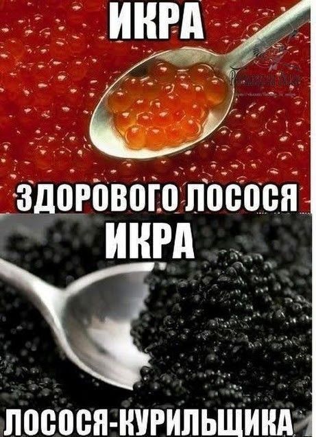 ��� ������� ������������ ������� ����: �������� ���������� ����������