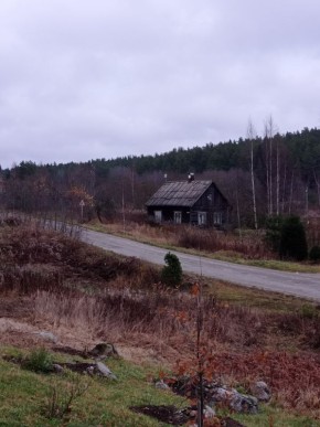 Кофейные пары, которые добавляют ярких красок в серый ноябрь