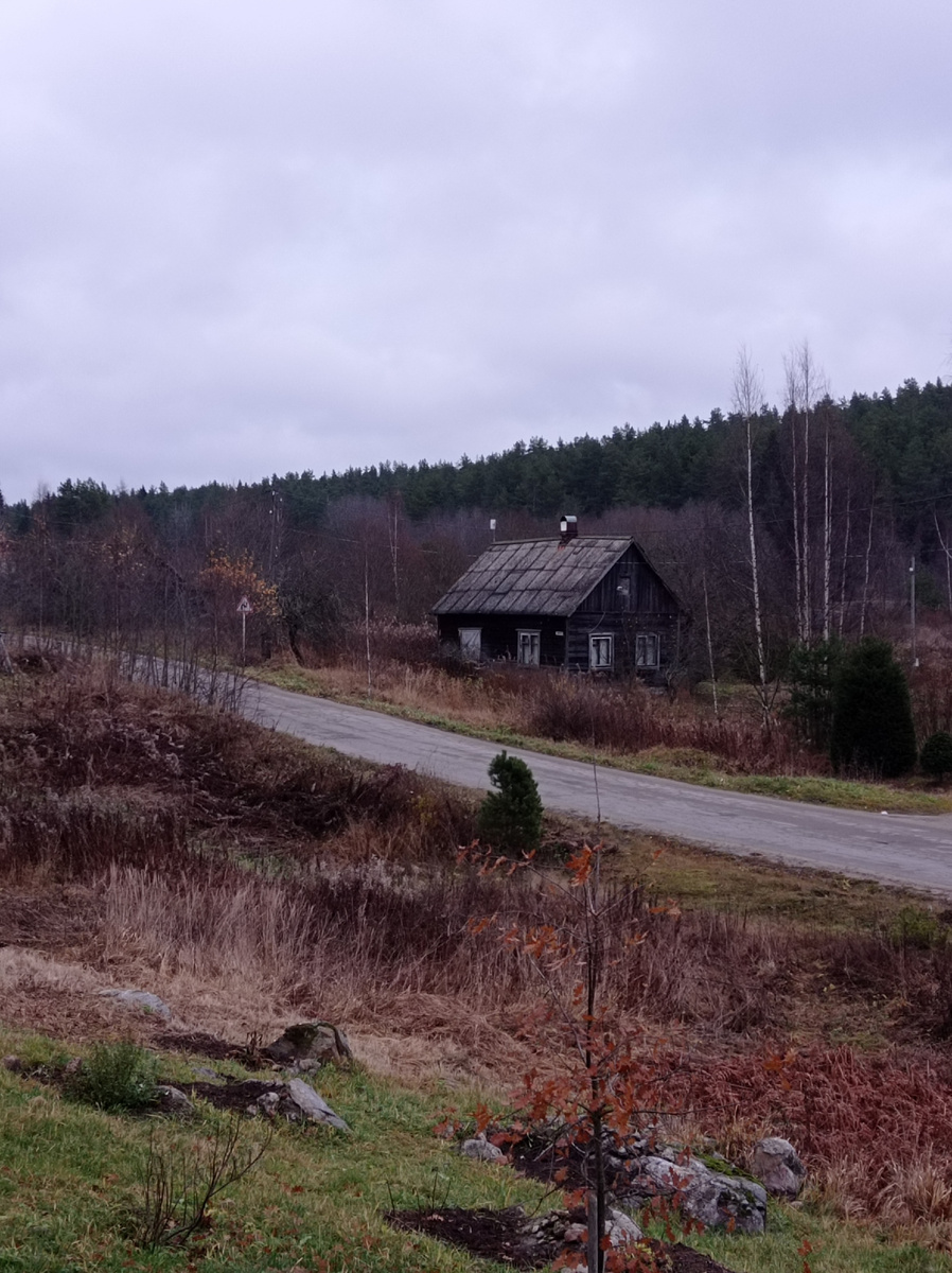 Кофейные пары, которые добавляют ярких красок в серый ноябрь