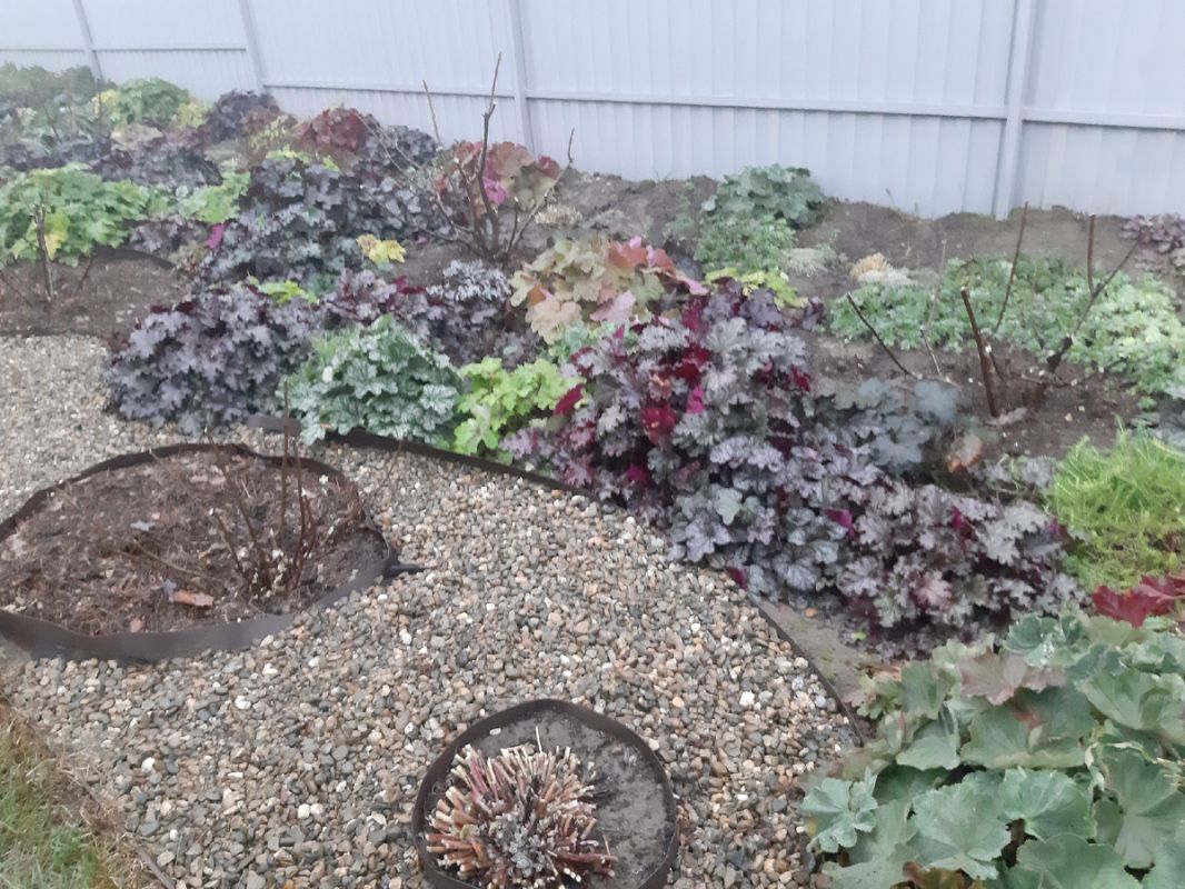 ��� ��������� �������� ���������: ������ ��� ��������� ��������