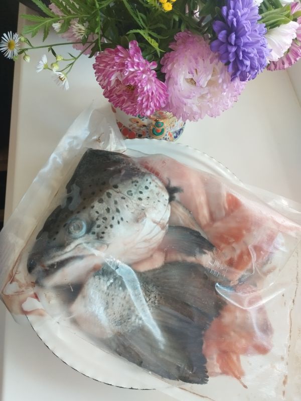 ���������� ���: ��� ��������� ������� ���� �� ����� �����