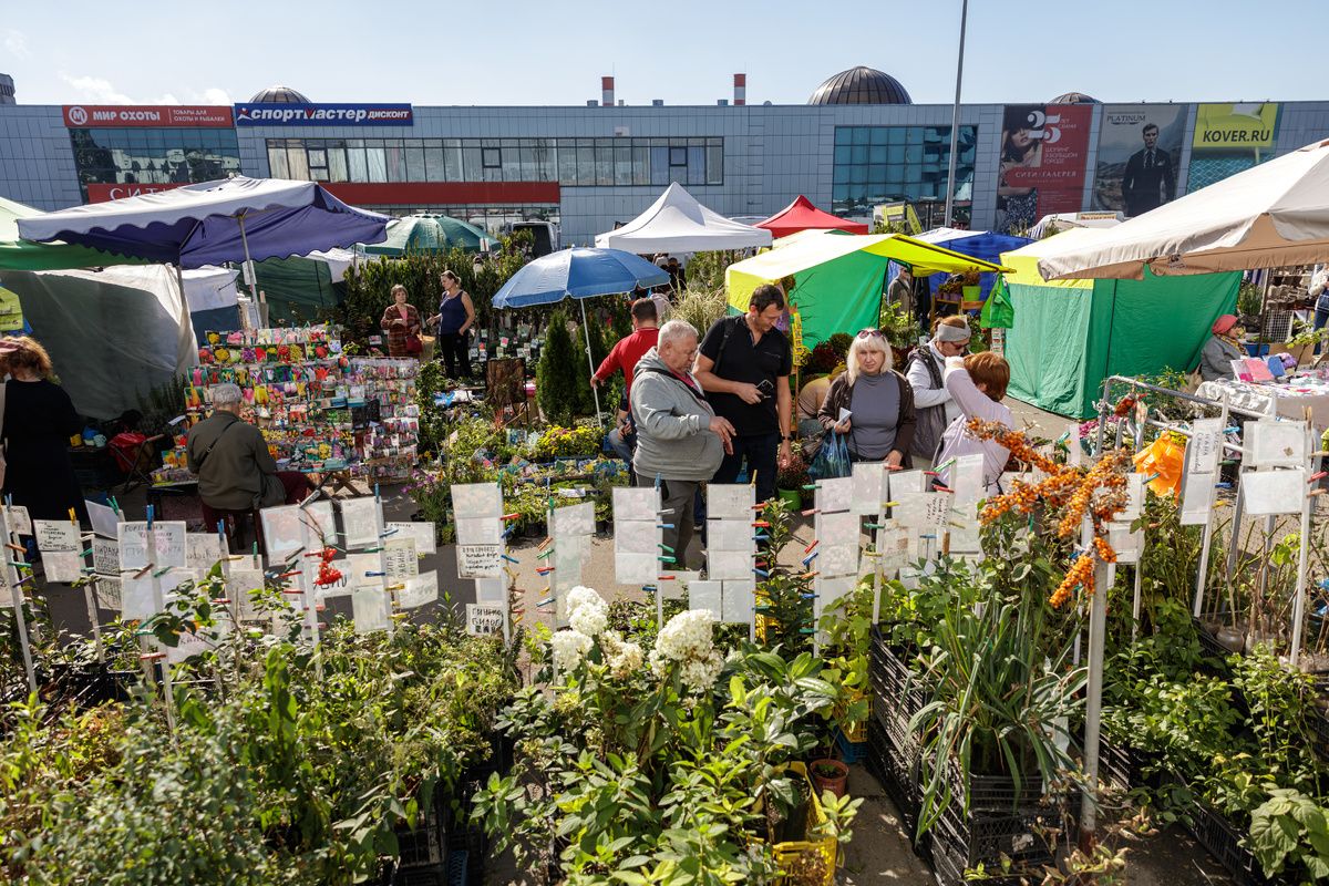 ����� ��� ��������: ������� �������� � "��������������" ����� ��������� �����