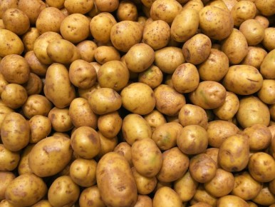 ��� �������: ����� ��� ������� ���������? ����������� � ���������