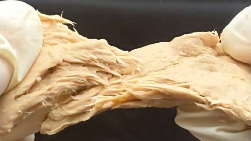 ����, ������� ����� ����� ������������� ����: ������ ������� ������