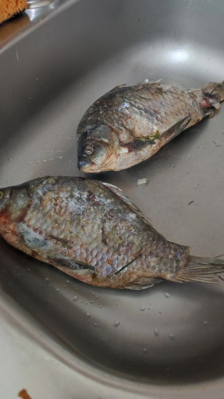 ��� ����������� ������: ������ �������