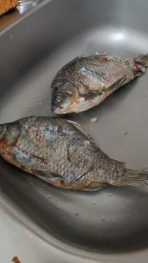 Как приготовить карася: лучшие рецепты