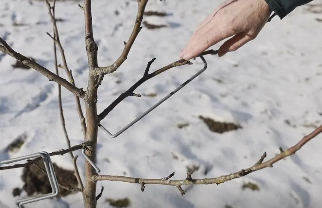 ����� ���������� ������: ��������� ������� ��� �������