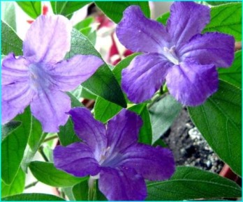 �������: ��� ������� ����� ������ � ����� ���������