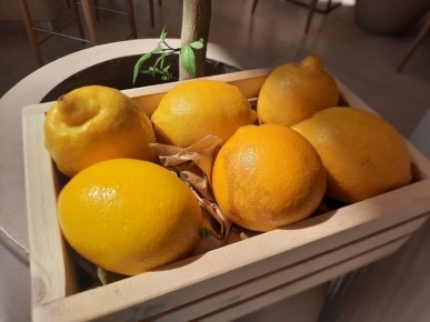 Осень в тарелке: как продукты октября укрепляют ваш иммунитет