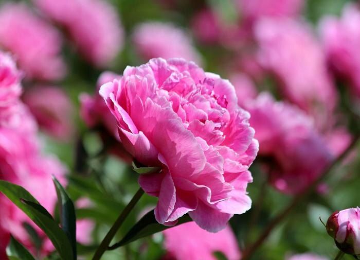 ������� �����: ��������� ������� ��� ��������������� ����