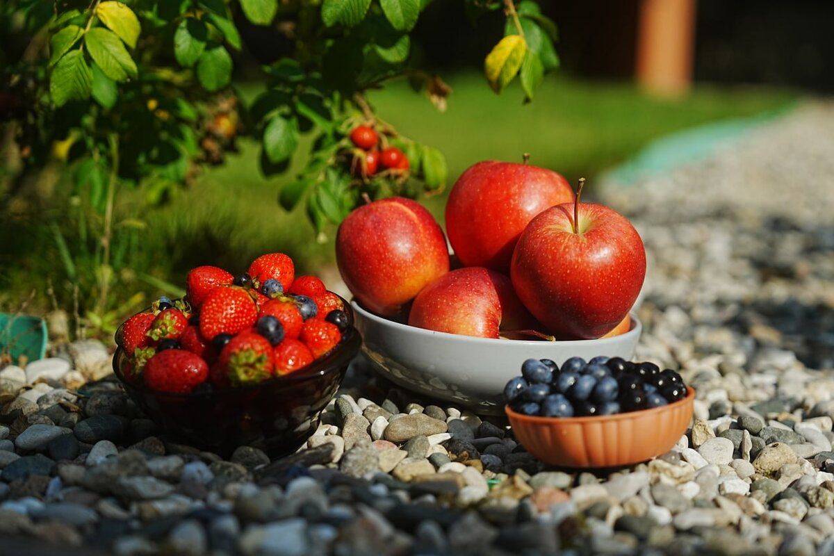 ������ ����� ���������� �������� �������� � ����