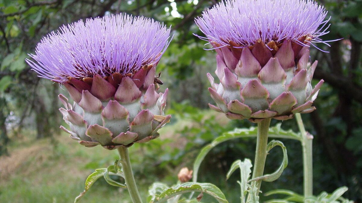 �������: ������� ��������� ����������� ��� ������ ����