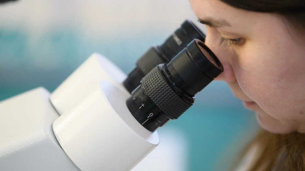 ��������� �����: ���� � ��������� ����������� � ������ � ���������