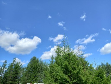 ��� ����� ���������� �� ����: ����� �� ������� � ������ �� �������