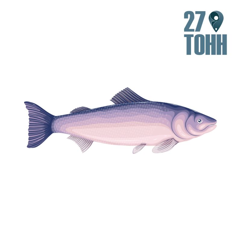 ������ ����� �������� ���� � ���� ������: 10 ������ ����������