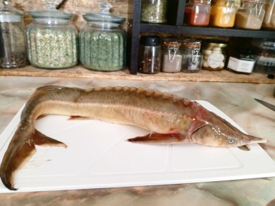 ������ ������� ���������� �� ����� �� ����