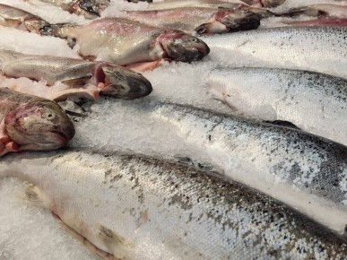 ��� ��������� ������ ���: ������ �������� ���� �� ���������� �������