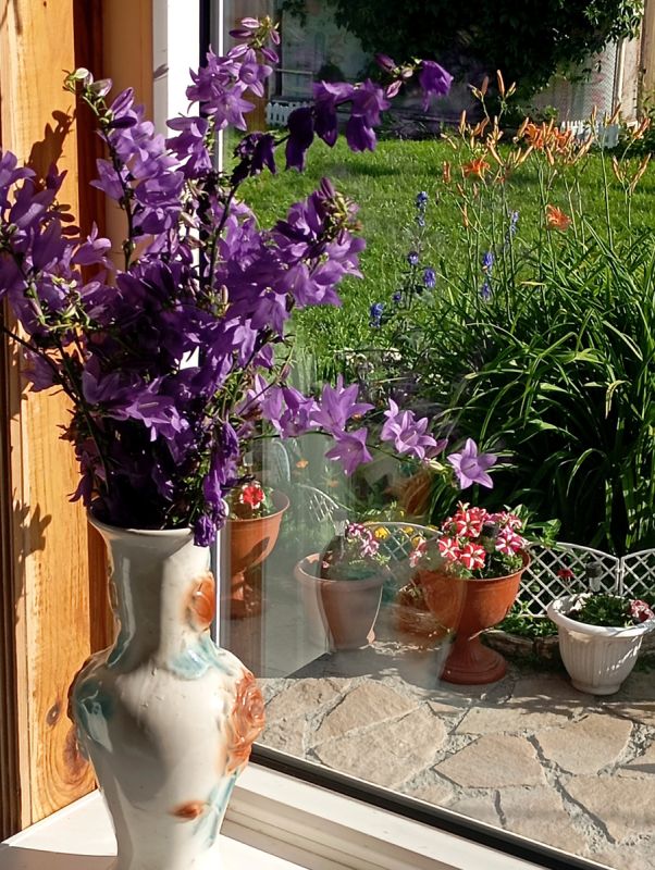 ���������� ���� � �������� ��� �������: ��� ������� ��������� �������