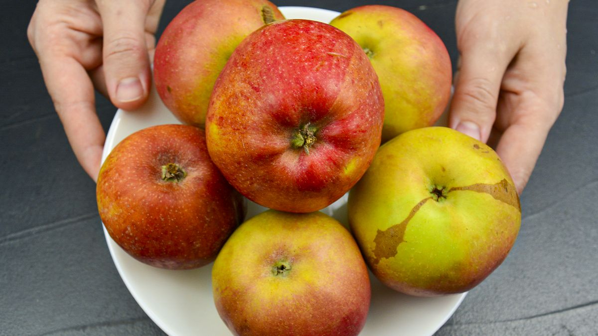 �������� ������ �� 10 �����: ������ � ������