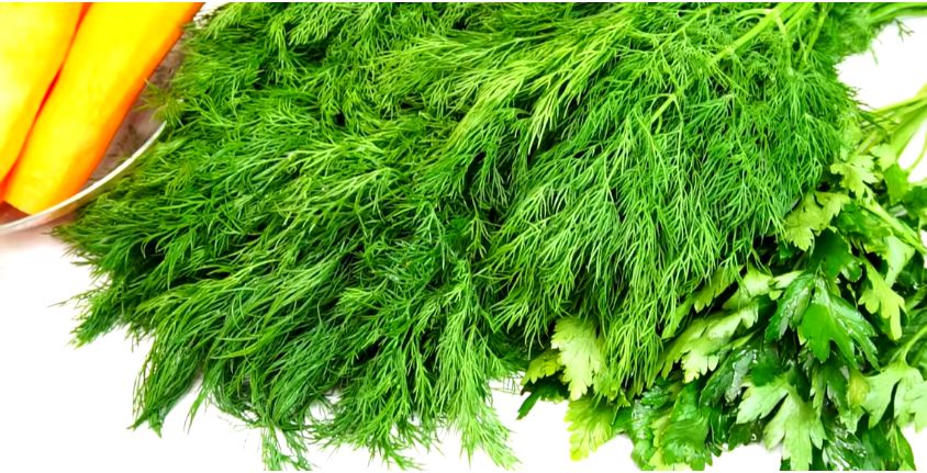 ��� ��������� ����� � ����� �� ����: ������� ������ ��� ��������� �����