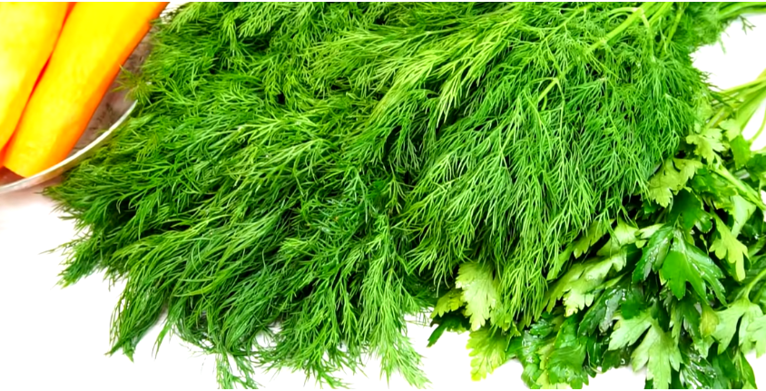 Как сохранить укроп и овощи на зиму: быстрый рецепт для любителей супов