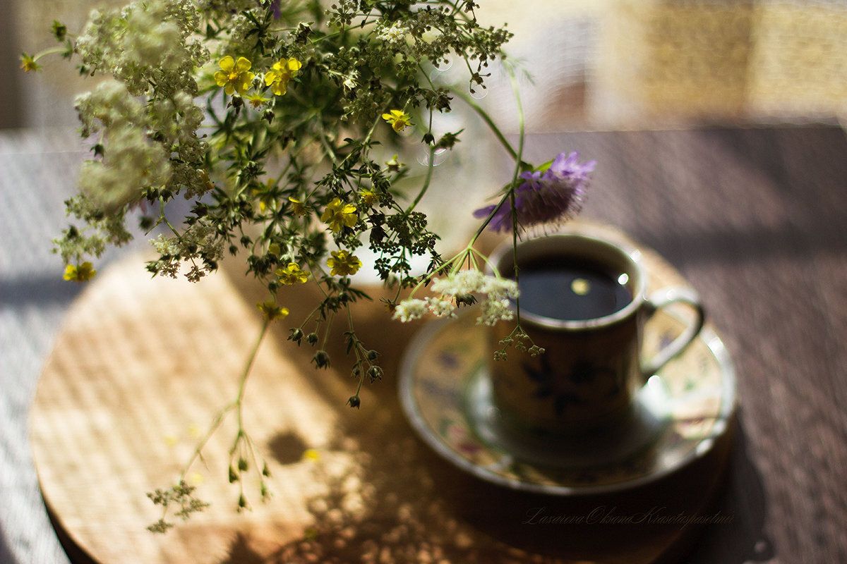 ���������� ����: ��� ������ � �������� ������������� � ������� ������