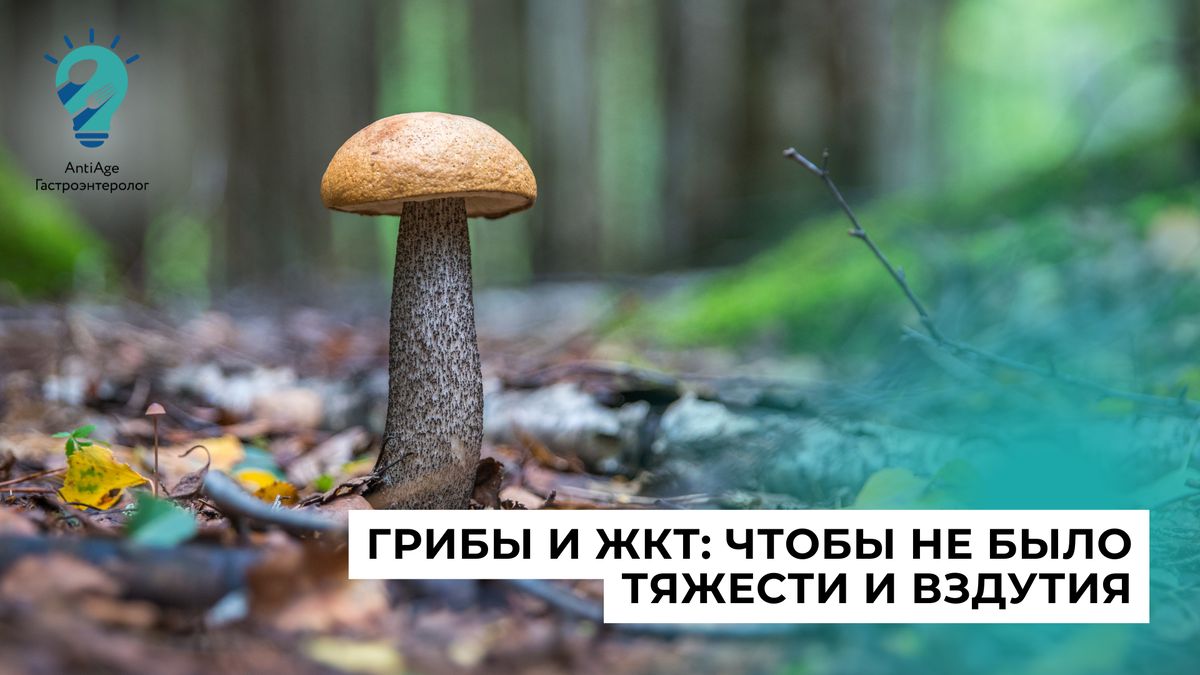 ����� � �������� ���: ��� ����� ����� ��� �������� �������������?