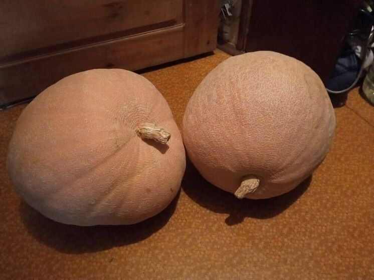 �����: �������� ������� �� ������ ����