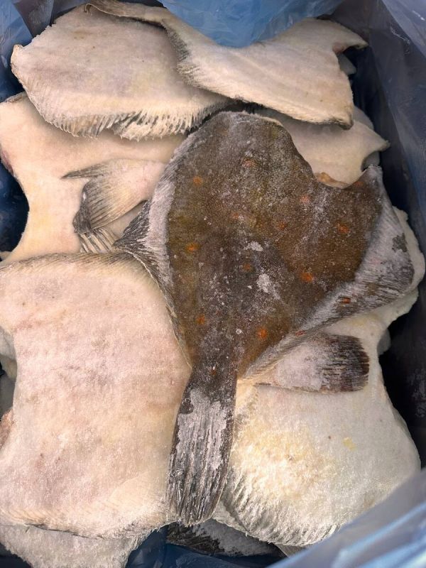 ������� ������������: ������ ���� �� ����� �����