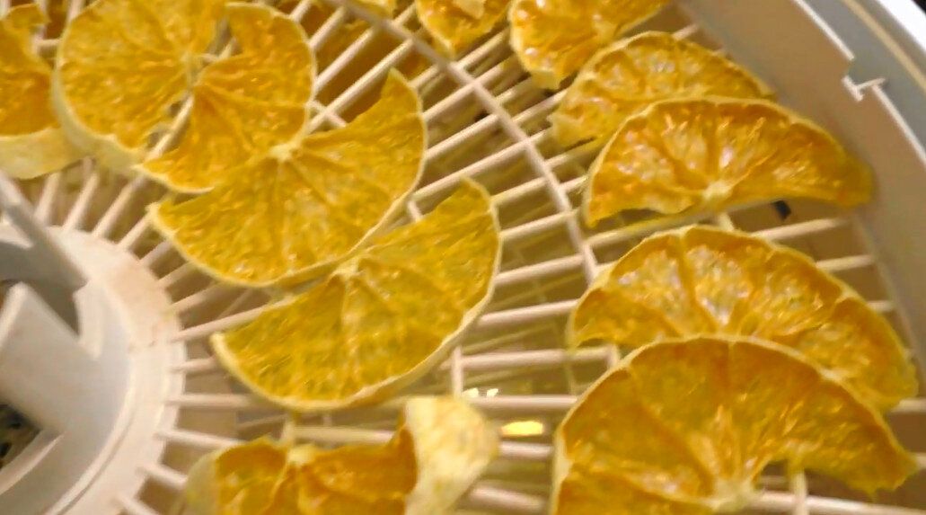 ������ ���� ������: ��� ��������� �������� ��������� � ��������������