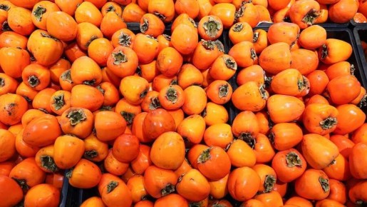 ��� ������� ������ �����: ������ �� ������ � ������ ������