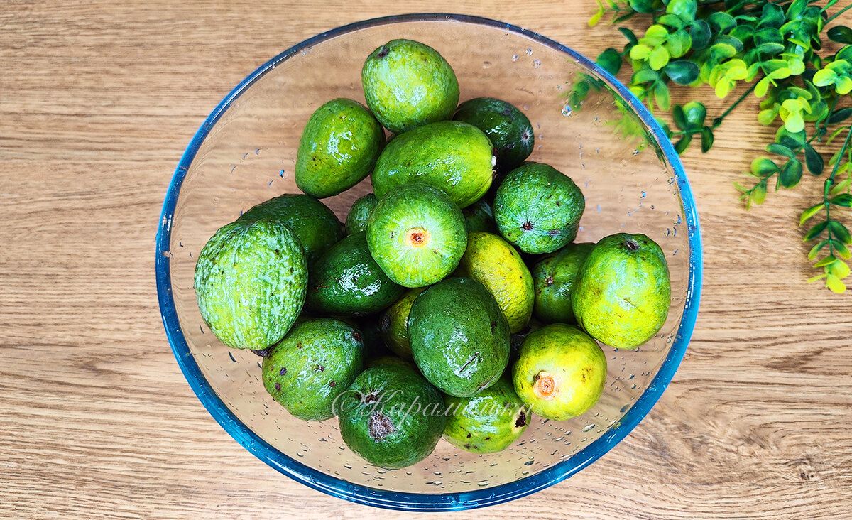 ����� ������� �� ������: ���������� ������� ��� ��������