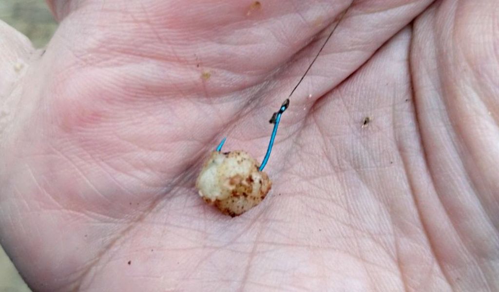 ������� �� ����: ��� ����� �� ��������� �������