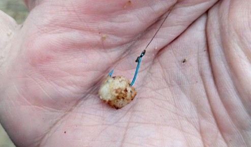 ������� �� ����: ��� ����� �� ��������� �������