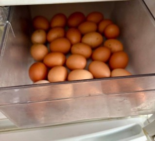 ��� ���� ����� ����� ��� ����� ����� ���������� ��� ����� ��������