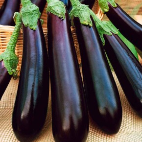 ������ ����� ����������: ������� ��������� ������ � ����� �������