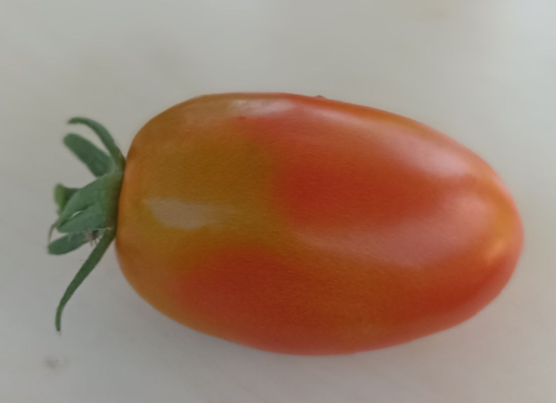 ������ �����: ��� ������ �������� �� ���� � ����� ���������� ��������