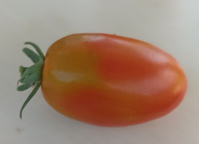 ������ �����: ��� ������ �������� �� ���� � ����� ���������� ��������