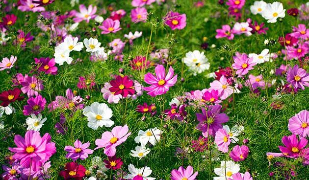 16 ������������ ������ ������ ��� ��������� ������ � �������� �����