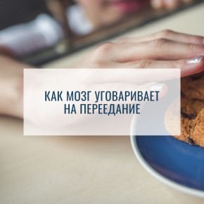 ��� ���� ���������� ��� ���������: ������� ������� � ����������