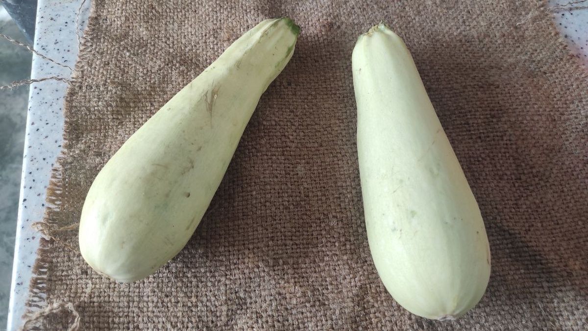 ���������� ���������� ������: ��������� ������ � ������� ��� ��������