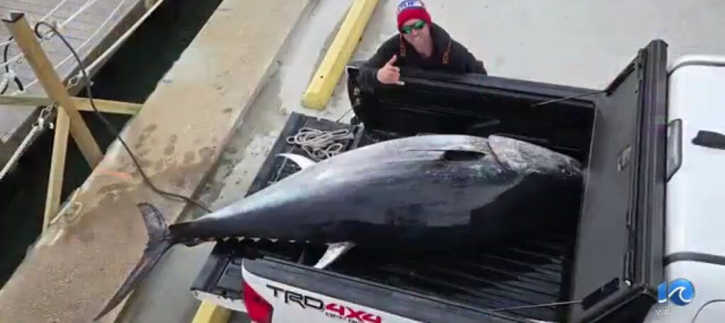 ��������� �������� ����� ������ � 379-������������� �����