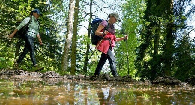 ������������� ����� � ������: ������ ������������ �������� ���������������