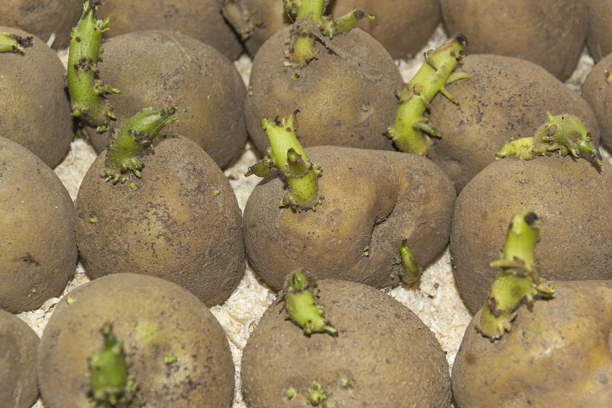 ��� ���������� � ������������ �������: ������ � ������������