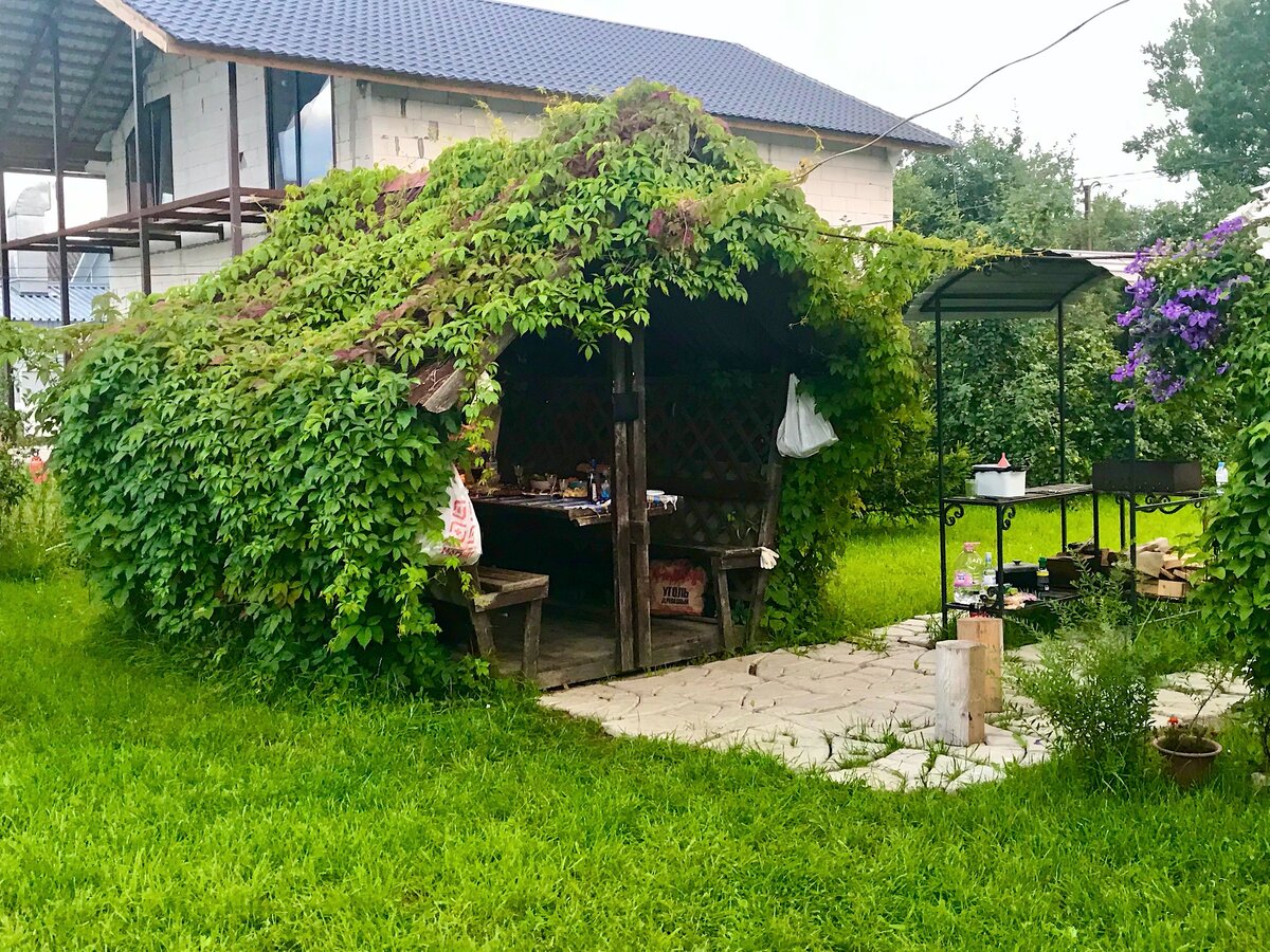 Воспоминания о дачных встречах: вкусные угощения и теплые моменты