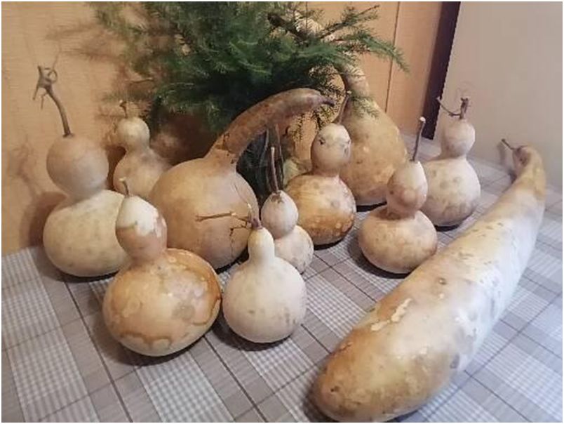 ���������: ��� ��������� ������� � ������ ��� ������� �������