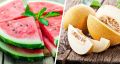 Что выбрать в жару: дыня или арбуз?