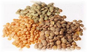 ��� ��������� ������ ��������: ������ � �������