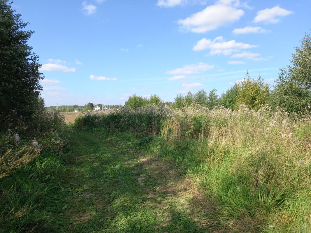 ����� ����� �� ����: ������ ������ � �������� ����� ����� ���������� ������� � ������